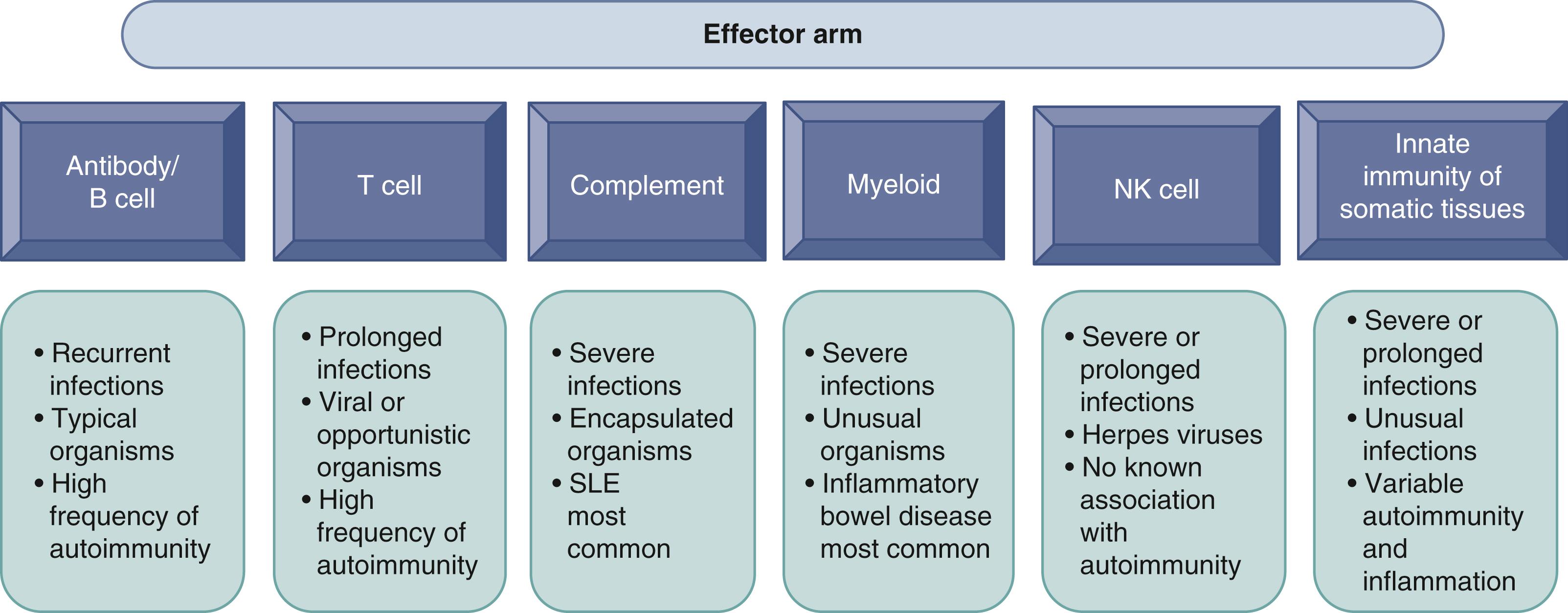 Fig. 43.2, The most common types of infections and autoimmune conditions are shown schematically.