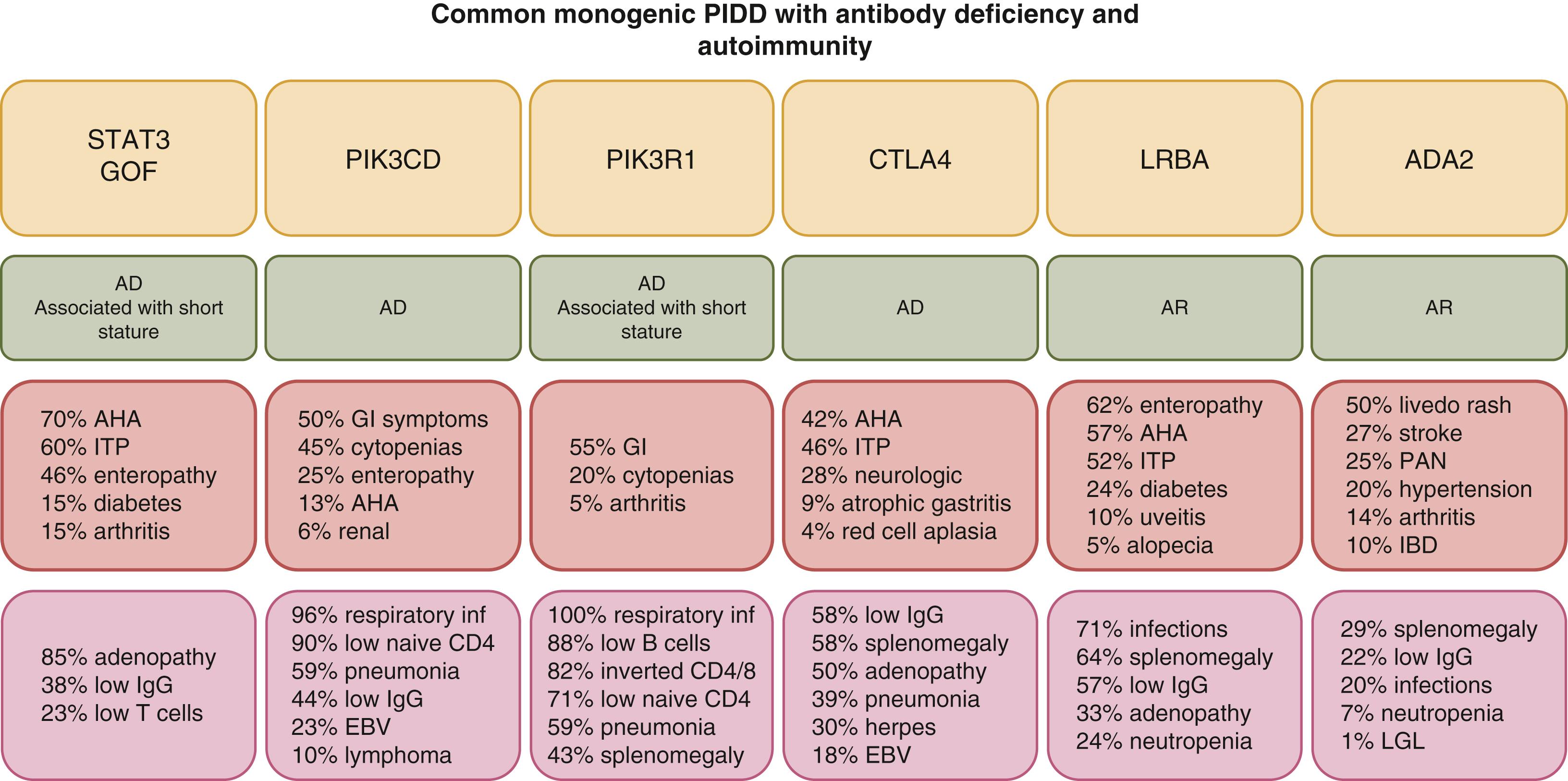 Fig. 43.3, The most common monogenic antibody deficiencies with a high predilection for autoimmunity. The conditions are listed along the top row, and the pattern of inheritance is in the second row. Next is the autoimmune conditions that were extracted from multiple publications, and the last row is an indication of the types of immunological features seen, again amalgamated from various publications. AD, Autosomal dominant; AHA, autoimmune hemolytic anemia; AR, autosomal recessive, EBV, Epstein–Barr virus; GI, gastrointestinal; inf, infection; IBD, inflammatory bowel disease. ITP, idiopathic thrombocytopenic.