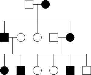 FIG. 1.2, Pedigree demonstrating autosomal dominant inheritance. Male-to-male transmission as well as male-to-female transmission is seen. Approximately 50% of offspring inherit the disorder.