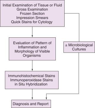 Figure 1-1, Conceptual approaches to diagnosis: traditional approach.