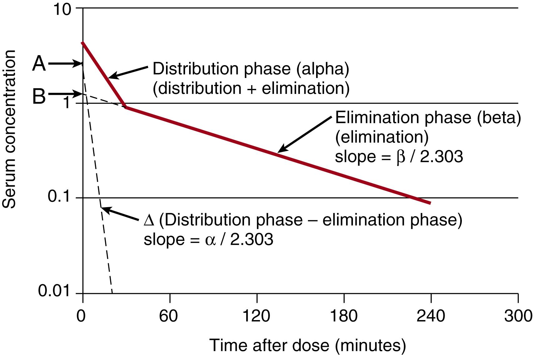 Fig. 16.1, Two-compartment or biexponential kinetics are graphed as a solid line on semilogarithmic axes with the initial rapid decrease in concentration resulting from distribution and elimination during the distribution phase (α) followed by the slower decrease in concentration during the elimination phase (β) with a slope of the elimination rate constant of β/2.303. The intercept of the elimination phase, B , is extrapolated to time zero with a dashed line . The concentration difference between the distribution and elimination phases is graphed with dashes in a steeper line with intercept A and a slope of the distribution rate constant α/2.303.