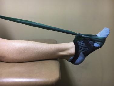 Fig. 31.4, Plantarflexion with tubing.