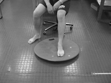 Fig. 31.8, Biomechanical ankle proprioception system (BAPS) board for balance and range of motion.