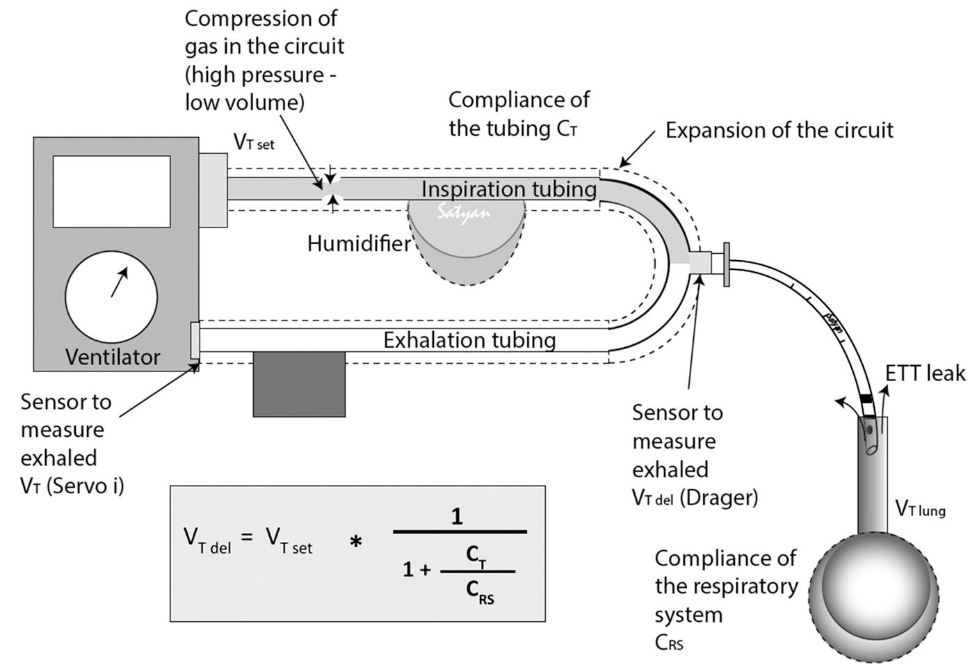 Fig. 10.1, Volume-controlled ventilation controls the tidal volume delivered into the proximal end of the patient circuit. Compression of gas within the circuit and expansion of the circuit tubing and endotracheal tube (ETT) leak leads to variable loss of tidal volume. The volume delivered into the lungs (V T del) of a very small preterm infant is only a fraction of the set tidal volume (V T set ), because the proportion of V T set that reaches the lungs is determined by the relative compliance of the patient’s lungs (largely a function of patient size) and the ventilator circuit.