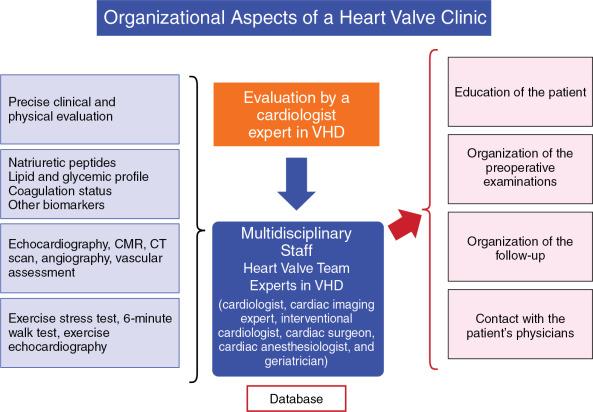 Fig. 6.1, Functioning of the Advanced Heart Valve Clinic.