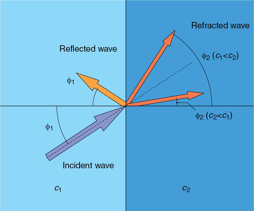 • Fig. 1.3, Refraction and reflection of an incident wave that is not normal to the interface between media with different acoustic velocities (c). The angle of reflection is identical to the angle of incidence. The angle of the refracted wave is dependent on the acoustic velocities of the two media and can be determined by applying Snell’s law (see text).