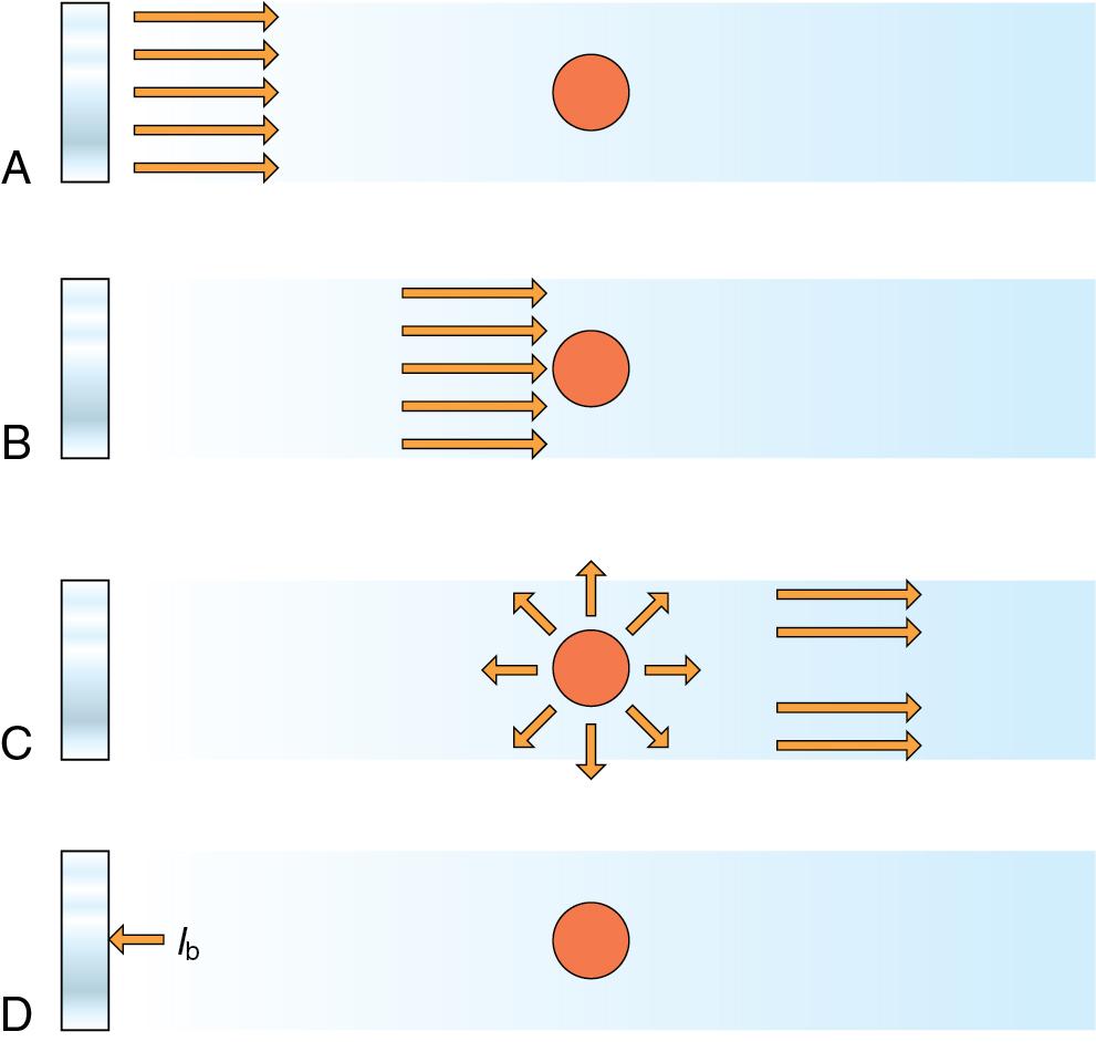 • Fig. 1.4, Schematic representation of single scattering. Scattering occurs from an interface that is smaller than the wavelength of the propagating ultrasound signal. The transducer is responsible for sending and receiving the signal. I b is the backscattered intensity that will propagate back to the transducer. (A) The ultrasound signal is transmitted by the transducer and propagates toward the scatterer. (B) The pulse reaches the scatterer. (C) The incident acoustic intensity is scattered in different directions. (D) The backscattered energy received by the transducer is only a small fraction of the incident acoustic intensity that is scattered.