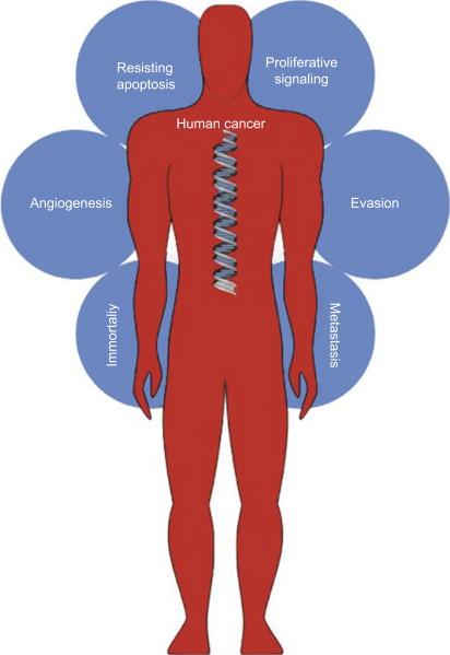 Figure 15.1, A Representative Diagram of the Interrelated Drivers of Human Cancer.