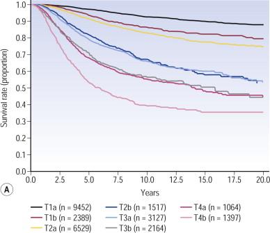 Figure 26.4, Survival curves from the AJCC melanoma staging database comparing the different T categories.