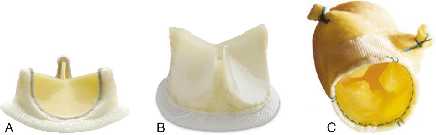 Fig. 13.2, Examples of surgical tissue valve prostheses.