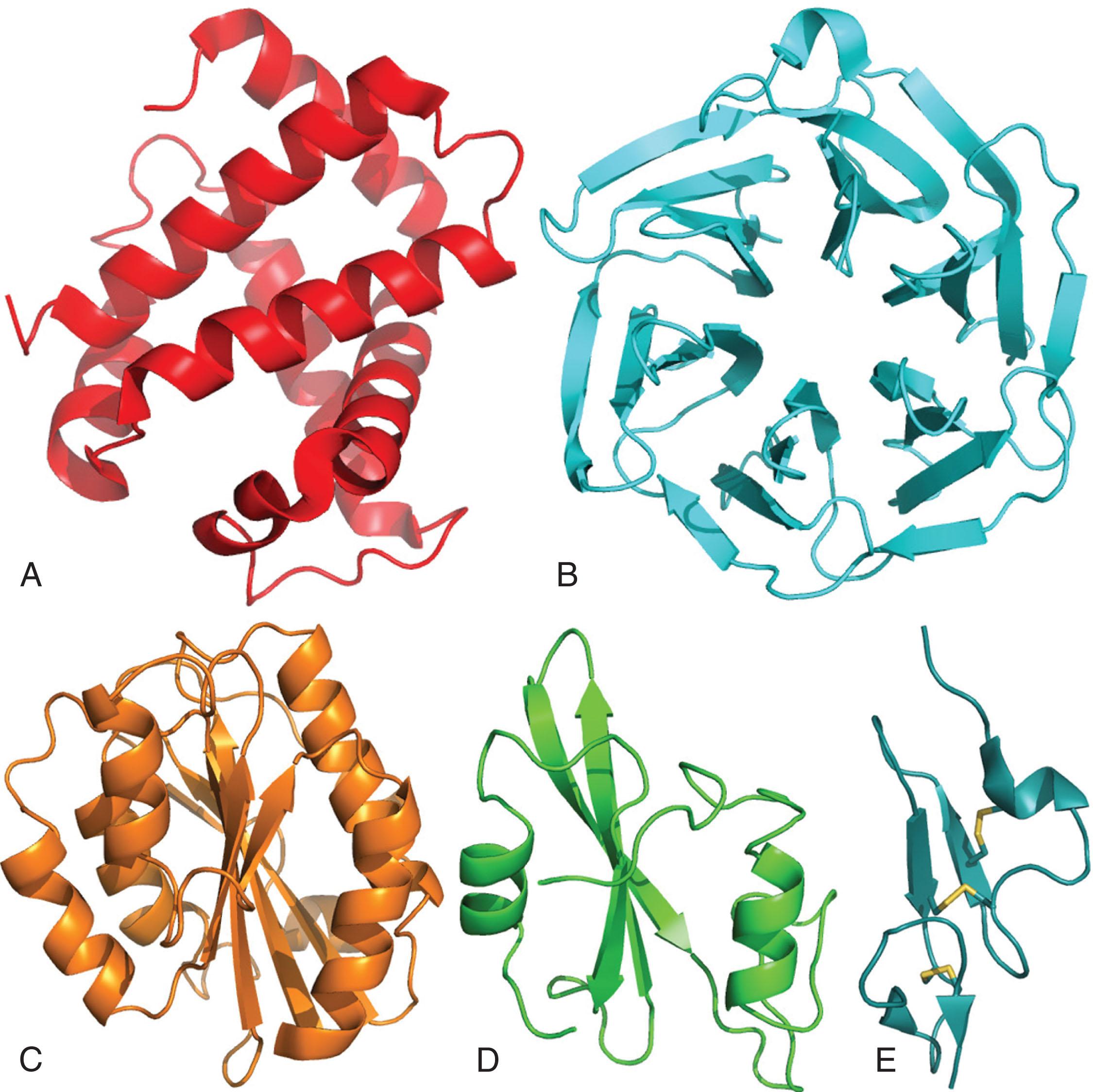 Figure 7.2, SEVERAL COMMON DOMAIN STRUCTURES.