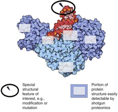 Figure 22-3, Challenges and opportunities presented by special features of protein structure, e.g., protein posttranslational modifications in proteomics analysis
