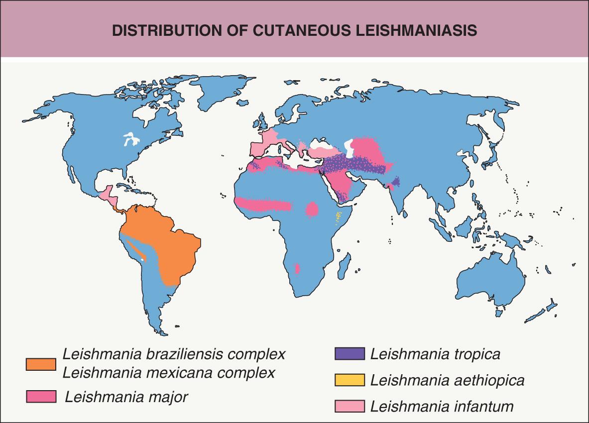 Fig. 83.1, Distribution of cutaneous leishmaniasis.