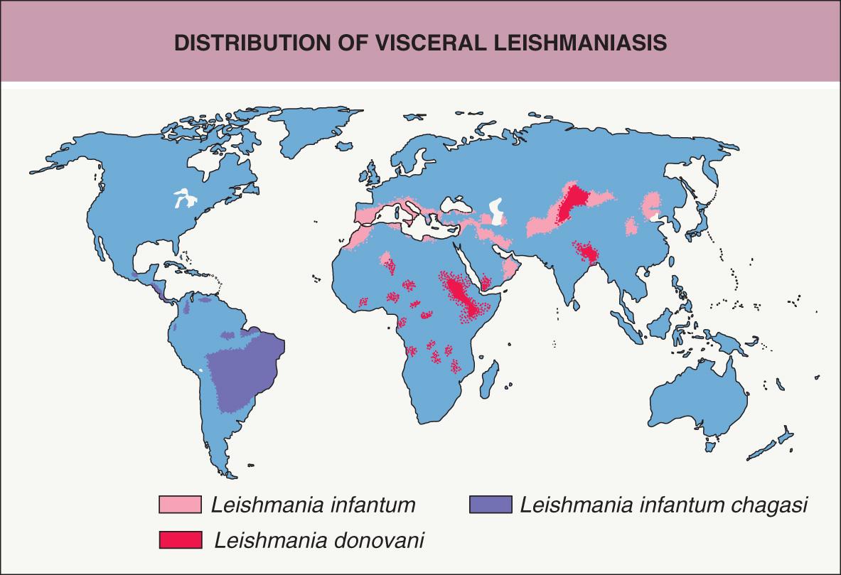 Fig. 83.2, Distribution of visceral leishmaniasis.