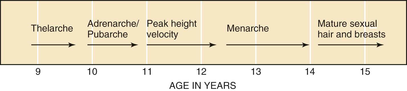 FIGURE 32-5, Sequence of physical changes during pubertal development. The acronym TAPuP ME has been used as a mnemonic device for T helarche, A drenarche/ Pu barche, P eak height velocity, and ME narche, which precede mature sexual hair and breast development.