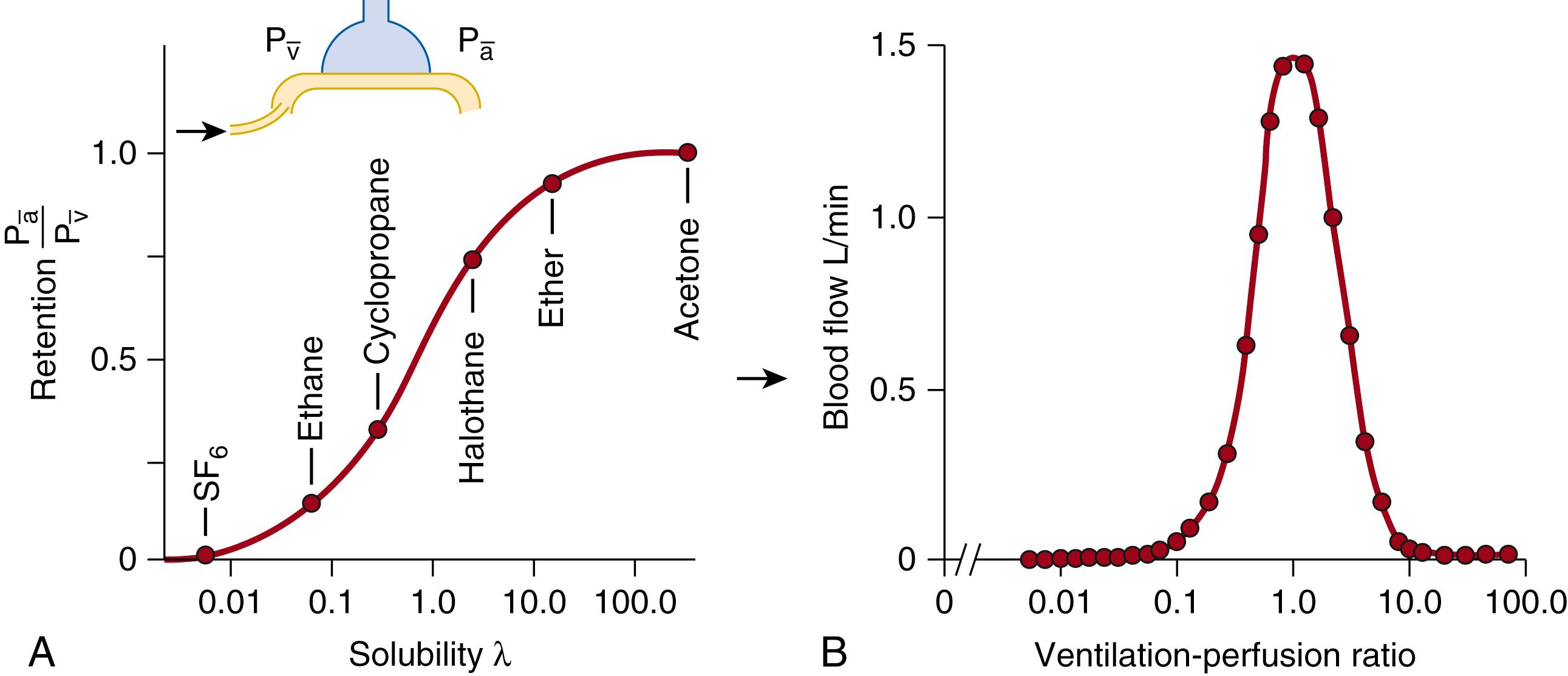 Fig. 64.6, (A) Retention–solubility curve created by the experimental techniques referred to in the text for six gases. (B) The retention–solubility curve can be used to derive a distribution of fractional perfusion to each of 50 theoretical lung compartments. P a , Partial pressure of each inert gas in arterial blood; P v , partial pressure in mixed venous blood.