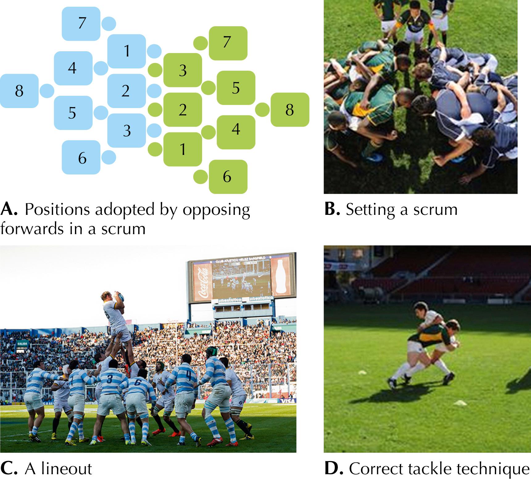 Figure 68.1, Position terminology.