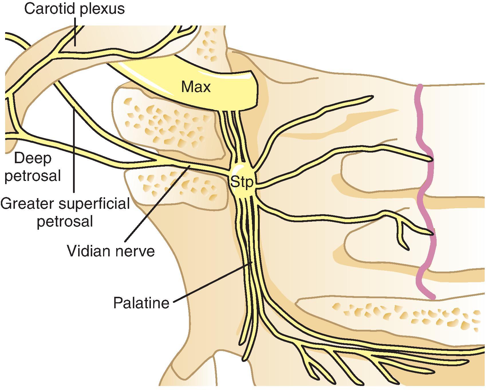 Figure 66.4, Connections of the sphenopalatine ganglion.