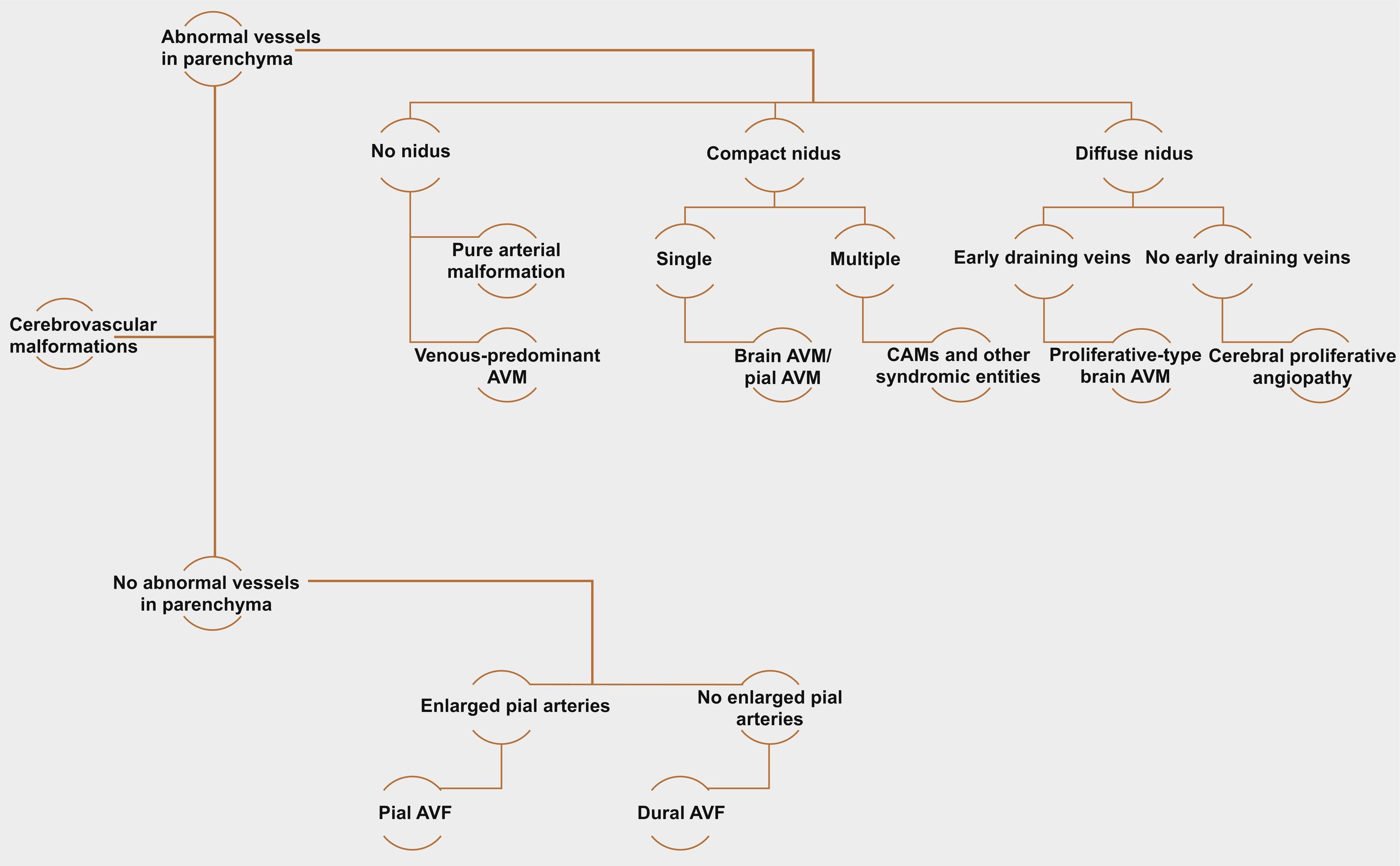 Fig. 3.4, Diagram illustrating an imaging-based diagnostic approach to cerebrovascular malformations. AVF , Arteriovenous fistula; AVM , arteriovenous malformation; CAMS , cerebrofacial arteriovenous metameric syndrome.