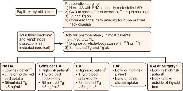 Figure 65-2, Initial evaluation and treatment of papillary thyroid cancer in children. CXR, Chest radiography; FNA, fine-needle aspiration; LAD, lymphadenopathy; RAI, radioactive iodine; Tg, thyroglobulin; Tg ab, thyroglobulin antibody; TSH, thyroid-stimulating hormone; US, ultrasound.