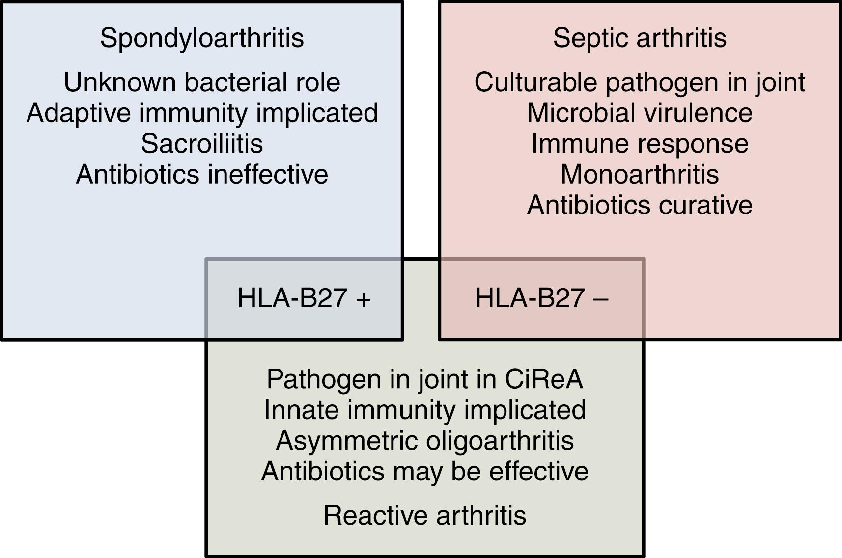 Fig. 46.1, The relationship between spondyloarthritis, reactive arthritis, and septic arthritis. Reactive arthritis shares clinical and immunopathogenic features with both spondyloarthritis, of which it is considered a subset, and septic arthritis. Enteric pathogen-associated reactive arthritis better represents spondyloarthritis, whereas Chlamydia -associated reactive arthritis represents a noncanonical septic arthritis. CiRea, Chlamydia -induced reactive arthritis.