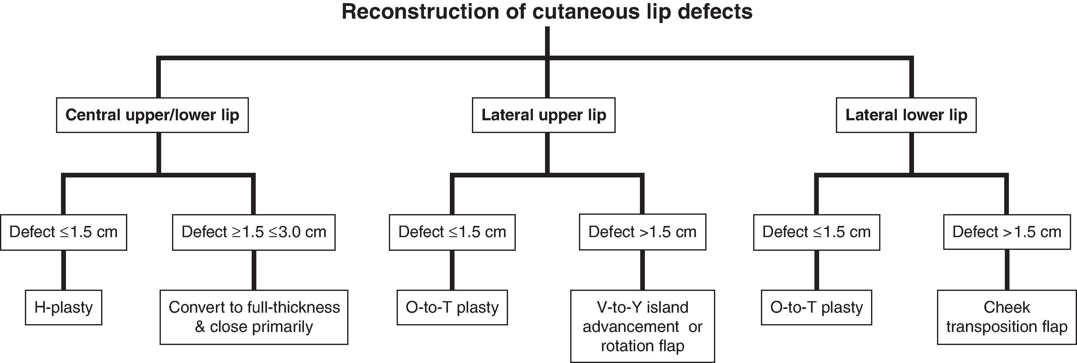 FIG. 19.12, Reconstruction of cutaneous lip defects.