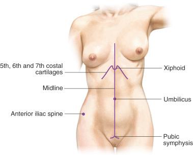 Figure 37.2, Anatomic landmarks.