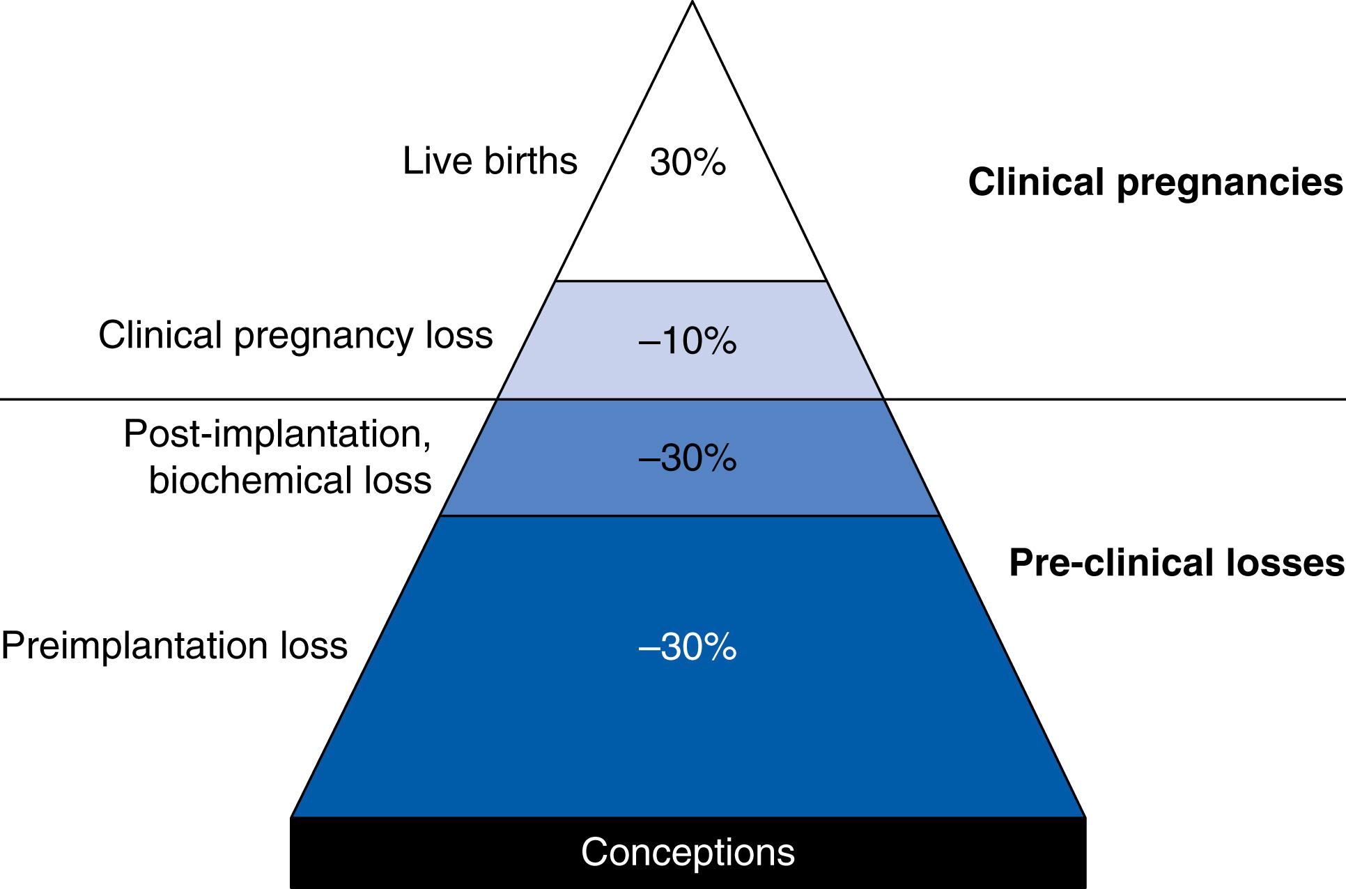 Fig. 28.1, Pregnancy loss iceberg: outcomes following spontaneous human conception. Only 30% of spontaneous conceptions result in a live birth; the vast majority end in a loss with many losses occurring before a missed menstrual period.