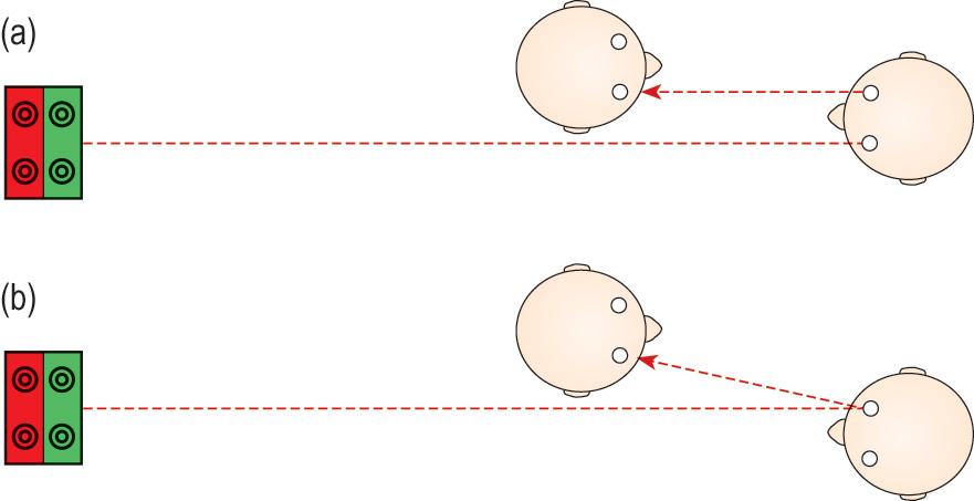 Fig. 4.7, Retinoscopist position (lateral). Plan view of the position of the examiner and patient when performing retinoscopy. (a) The examiner is viewing along the visual axis of the patient’s right eye, while the patient’s left eye fixates the duochrome target. (b) The examiner views off-axis in the ‘good’ eye of a patient with strabismus. For the strabismic eye, retinoscopy could be performed along the angle of strabismus, or the good eye could be occluded and retinoscopy performed off-axis.