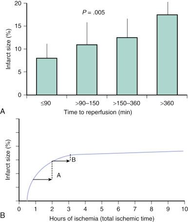 Fig. 37.3, (A) Relationship between chest pain symptom onset to balloon inflation (time to perfusion/total ischemic time) and infarct size as determined by gadolinium-enhanced cardiovascular magnetic resonance imaging. (B) Relationship between a 1-hour door-to-balloon (D2B) time percutaneous coronary intervention (PCI) delay and infarct size as a function of total ischemic time. Infarct size may be variably influenced by a similar D2B time (1 hour) depending on the length of the time delay to PCI-hospital presentation (A vs. B).