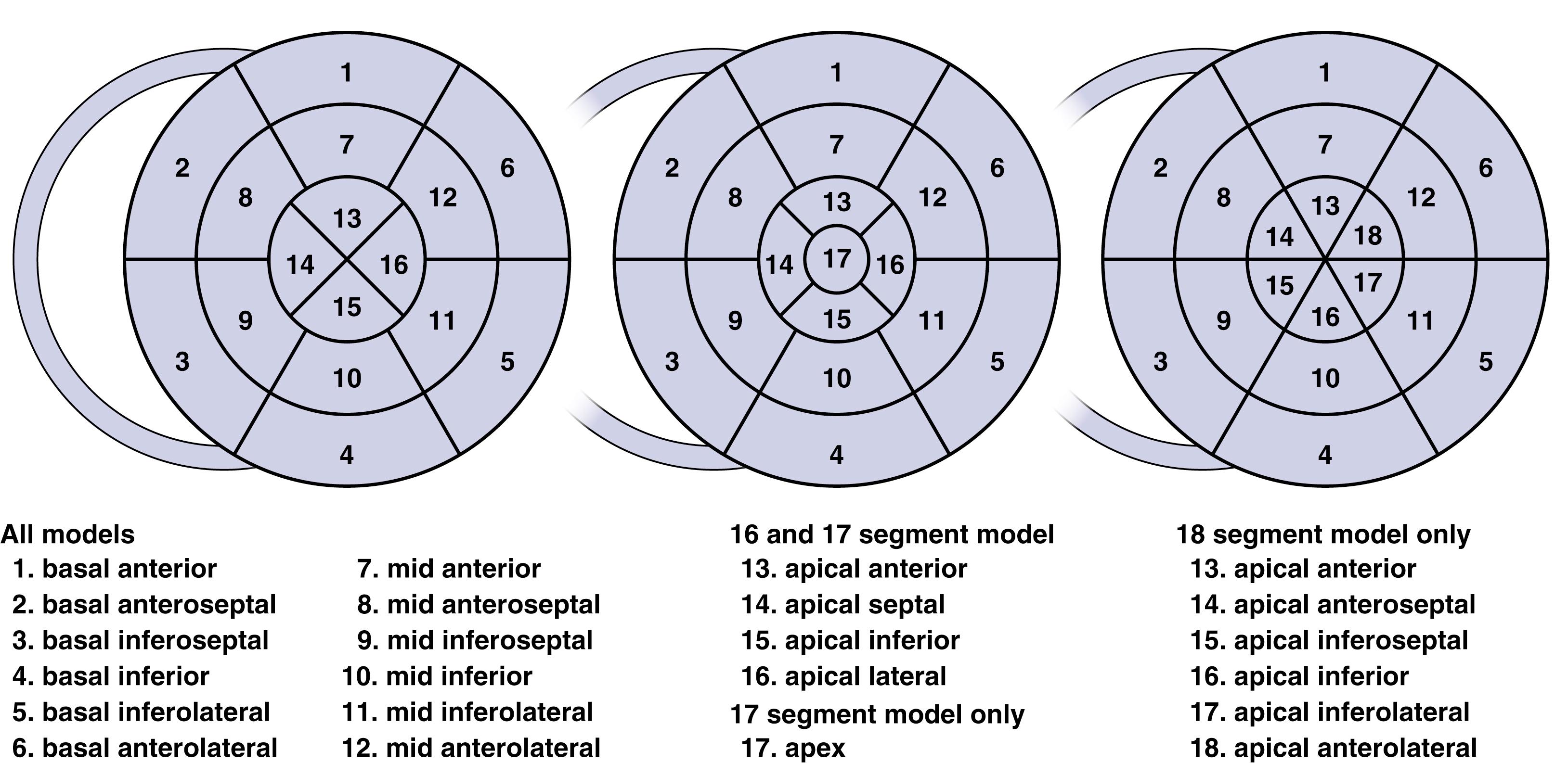 Regional Left Ventricular Systolic Function - Clinical Tree