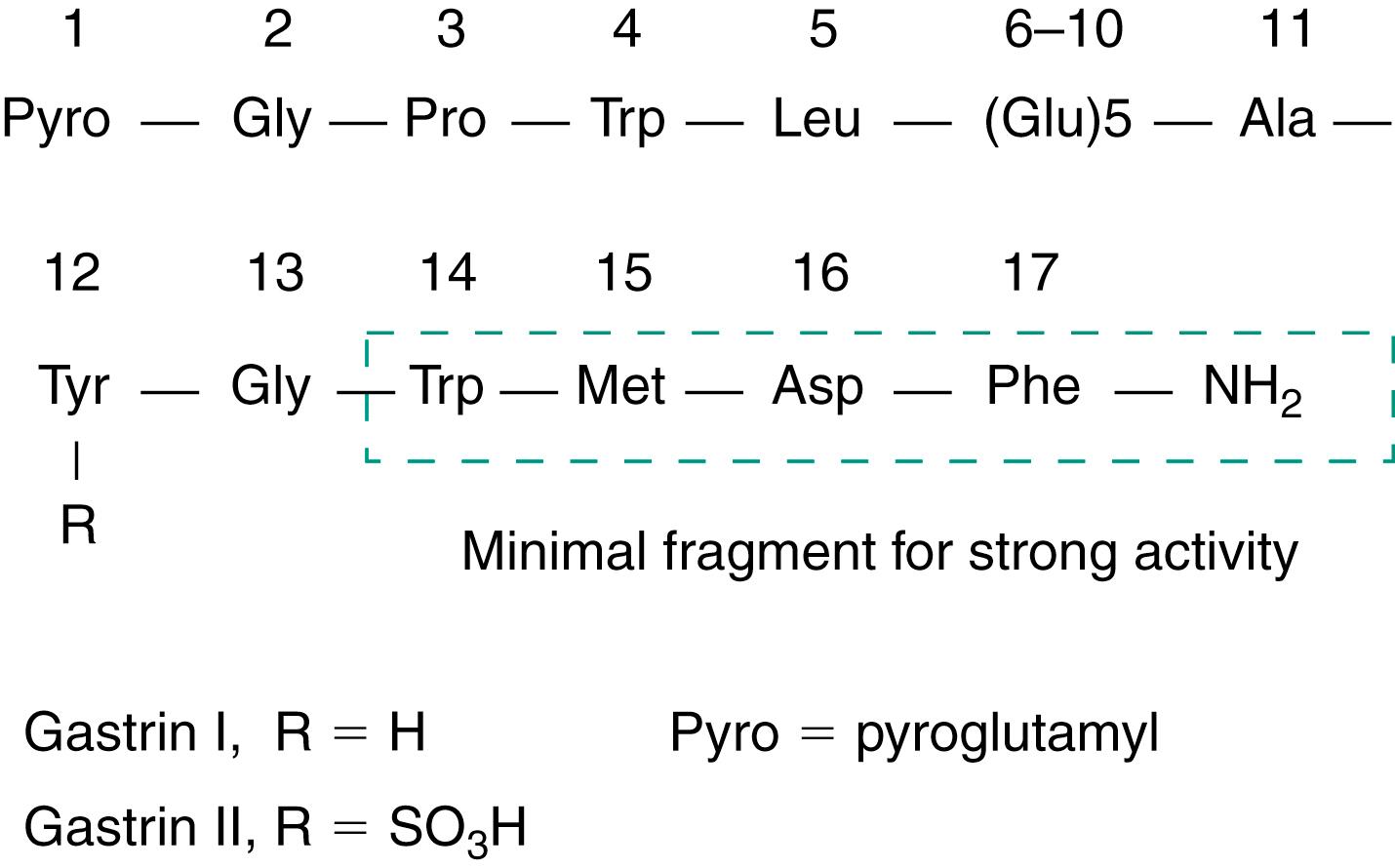 Fig. 1.1, Structure of human little gastrin (G 17).