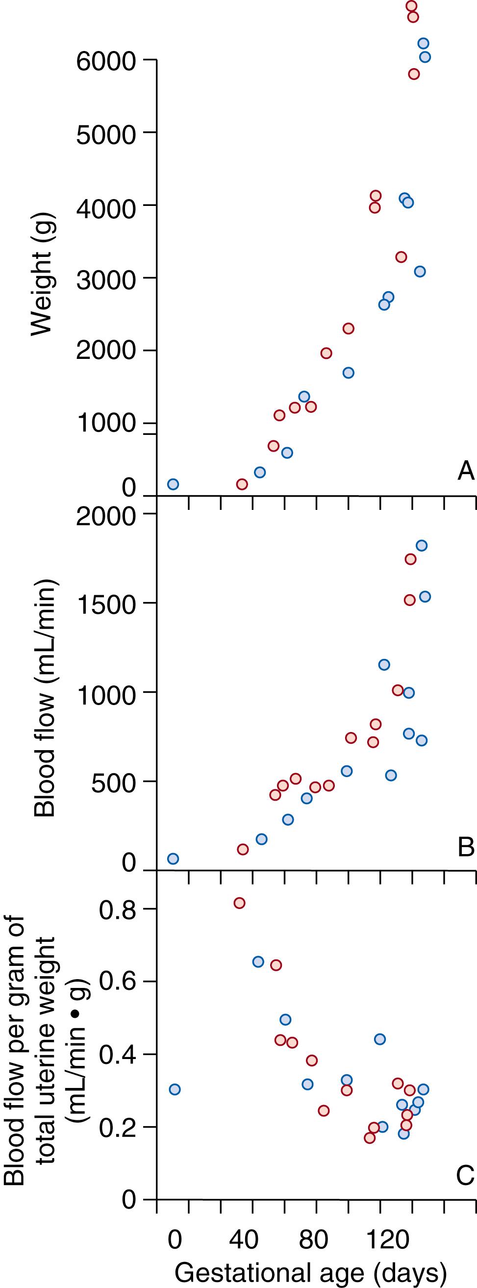 Fig. 9.1, Changes in uterine weight (A), blood flow (B), and blood flow per gram of total uterine weight (C) during ovine pregnancy. Total weight is the sum of all metabolically active tissues. Blue circle , twin pregnancy; red circle , singleton pregnancy.