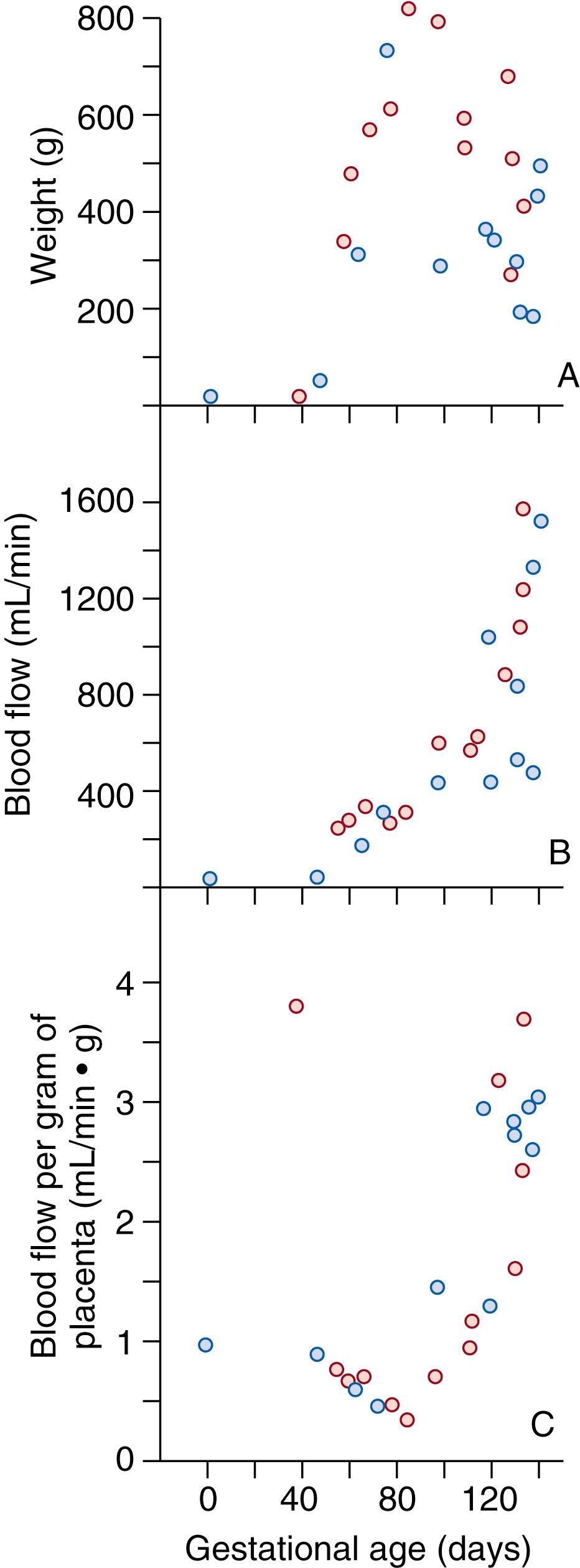 Fig. 9.3, Changes in placental weight (A), blood flow (B), and blood flow per gram of placenta (C). Observations on the nonpregnant animals represent the caruncles or future sites of implantation. Placental weight and blood flow in the twin gestations are the sum for the two placentas. Blue circle , twin pregnancy; red circle , singleton pregnancy.