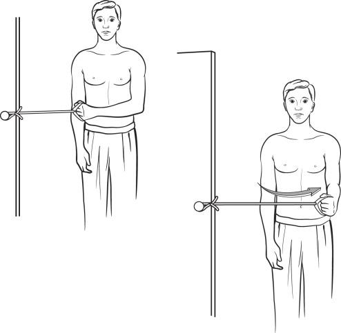 FIGURE 19.22, External rotator strengthening (resisted abduction).