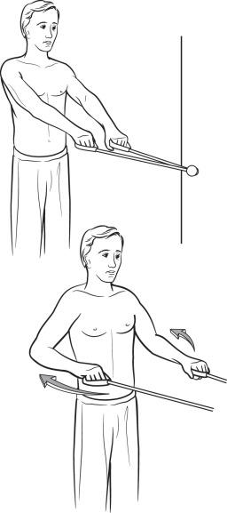 FIGURE 19.24, Low rows for scapular stabilizers.