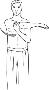 FIGURE 19.5, Cross-body adduction stretch.