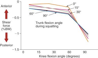 FIG 18-1, Calculated shear force (kilograms) per body weight (BW) (kilograms) while standing on both legs at various flexion angles of the knee and trunk.