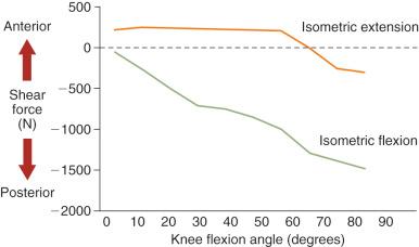 FIG 18-4, Calculated tibiofemoral shear forces during isometric knee extension and flexion.