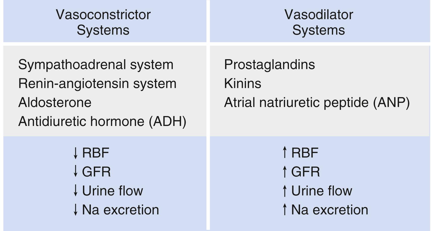 Fig. 17.10, Neurohormonal renal regulatory systems.