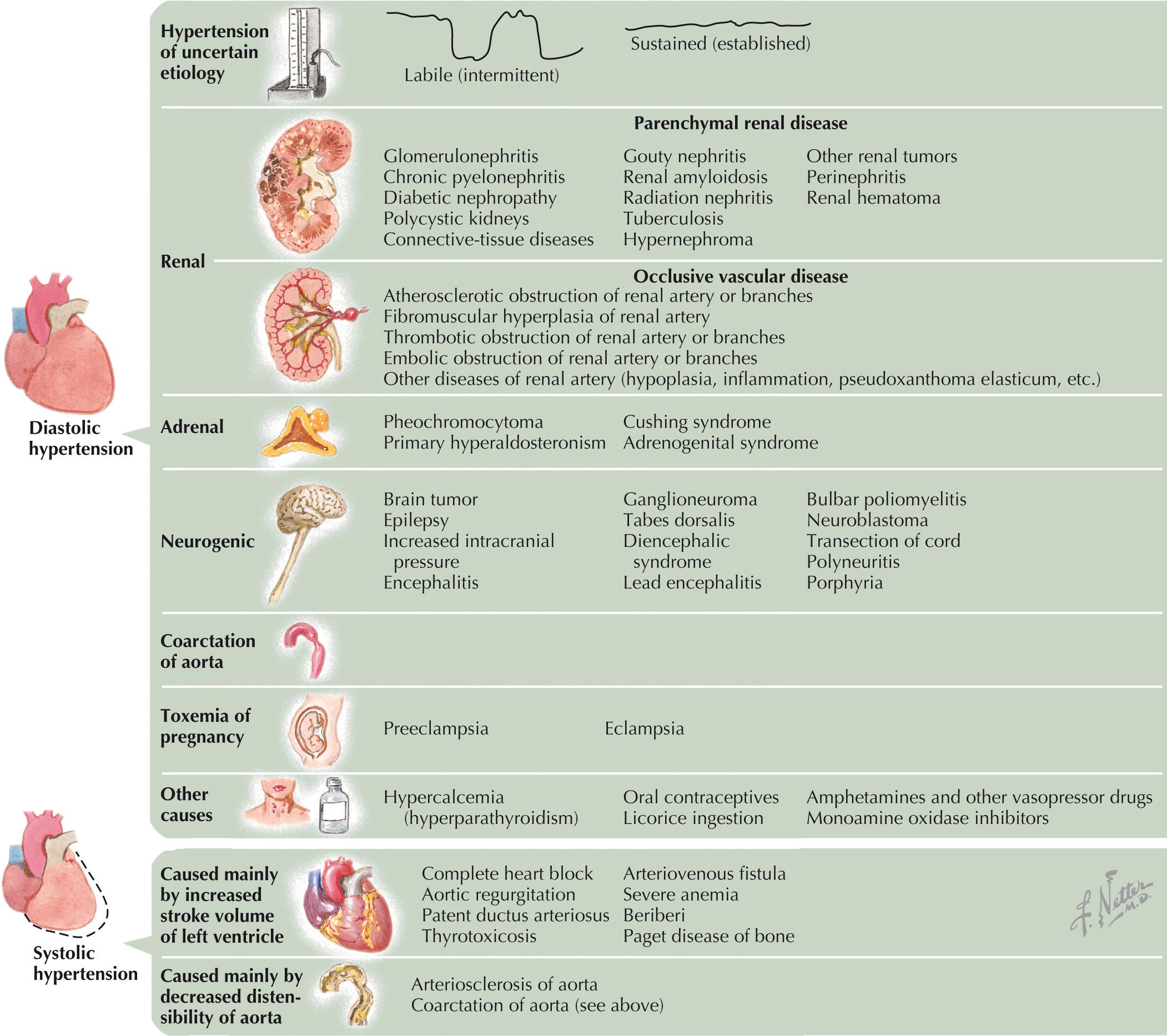 FIG 58.3, Etiology of Hypertension.