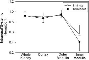 Figure 24.16, Distribution of hematocrit in the kidney.