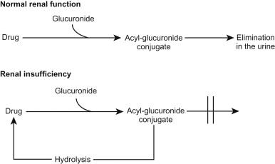 Figure 95.2, Schematic illustration of a futile cycle of drug elimination.