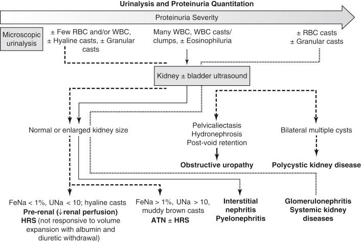 FIGURE 74-1, Basic evaluation for kidney injuries in the liver patient. RBC , Red blood cell; WBC , white blood cell.