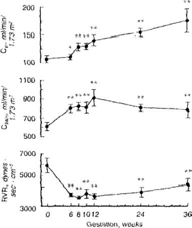 Figure 81.4, Renal hemodynamic changes throughout early human pregnancy. Ten women were studied in the midfollicular phase of the menstrual cycle and weeks 6, 8, 10, 12, 24 and 36 of gestation. Renal plasma flow and GFR increased significantly in association with a decrease in renal vascular resistance by week 6 gestation. C In , inulin clearance; C PAH , p -aminohippurate clearance; RVR, renal vascular resistance. * P <0.05, ** P <0.001 vs midfollicular. Note that authors normalized renal function by body surface area. However, because gestational changes in renal plasma flow and glomerular filtration are functional and not anatomical in nature, such normalization will underestimate true values.
