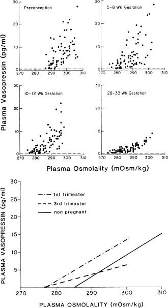 Figure 81.10, Relationships of P AVP to P osm during serial hypertonic saline infusions in eight volunteers starting before conception and completed postpartum. Each point in A–D represents individual plasma determinations, and data from the postpartum period, which were similar to these before conception, are not shown. Highly significant mean regression lines from the early pregnancy, the third trimester, and nonpregnant periods demonstrate the marked decrease in the abscissal intercept (which is the apparent osmotic threshold for AVP release) during gestation. The decreased slope (Δ P AVP /Δ P osm ) in the third trimester is discussed in the text. Finally, the osmotic thresholds for thirst in both pregnant and nonpregnant subjects (not shown) were consistently 2–5 mOsm/kg above that for hormone release, and were thus ~10 mOsm/kg lower during pregnancy.