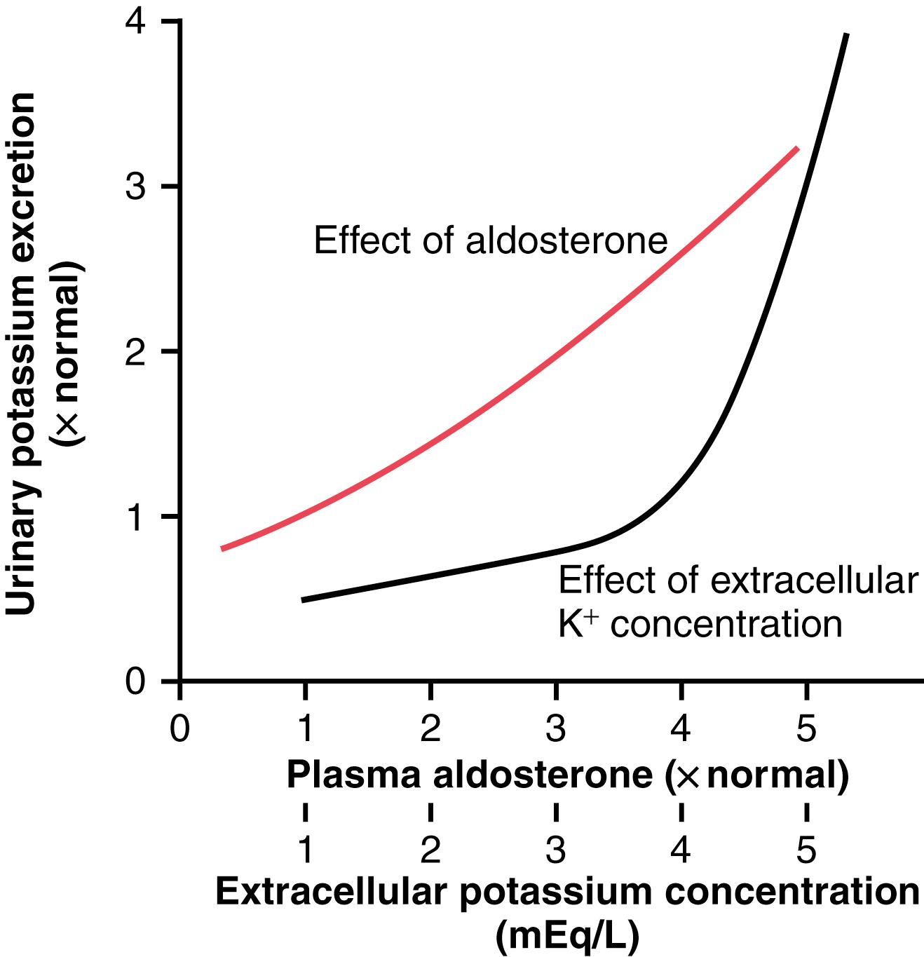 Figure 30-4, Effect of plasma aldosterone concentration ( red line ) and extracellular potassium ion concentration ( black line ) on the rate of urinary potassium excretion. These factors stimulate potassium secretion by the principal cells of the cortical collecting tubules.