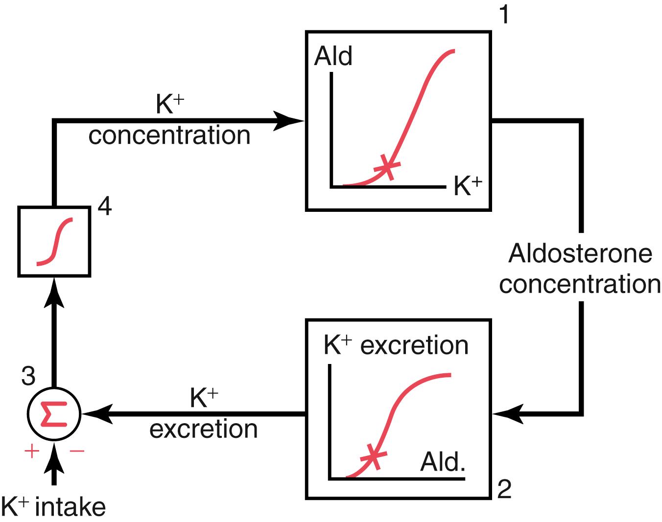 Figure 30-6, Basic feedback mechanism for control of extracellular fluid potassium concentration by aldosterone ( Ald ).