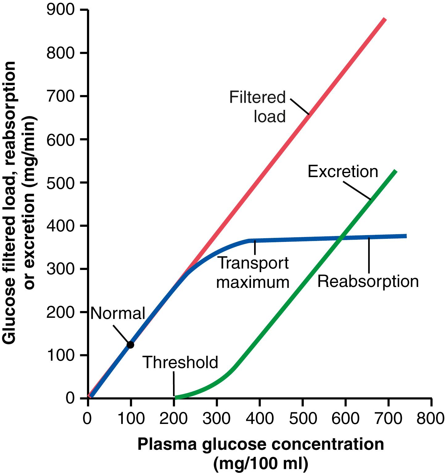Figure 28-4, Relationships among the filtered load of glucose, rate of glucose reabsorption by the renal tubules, and rate of glucose excretion in the urine. The transport maximum is the maximum rate at which glucose can be reabsorbed from the tubules. The threshold for glucose refers to the filtered load of glucose at which glucose first begins to be excreted in the urine.