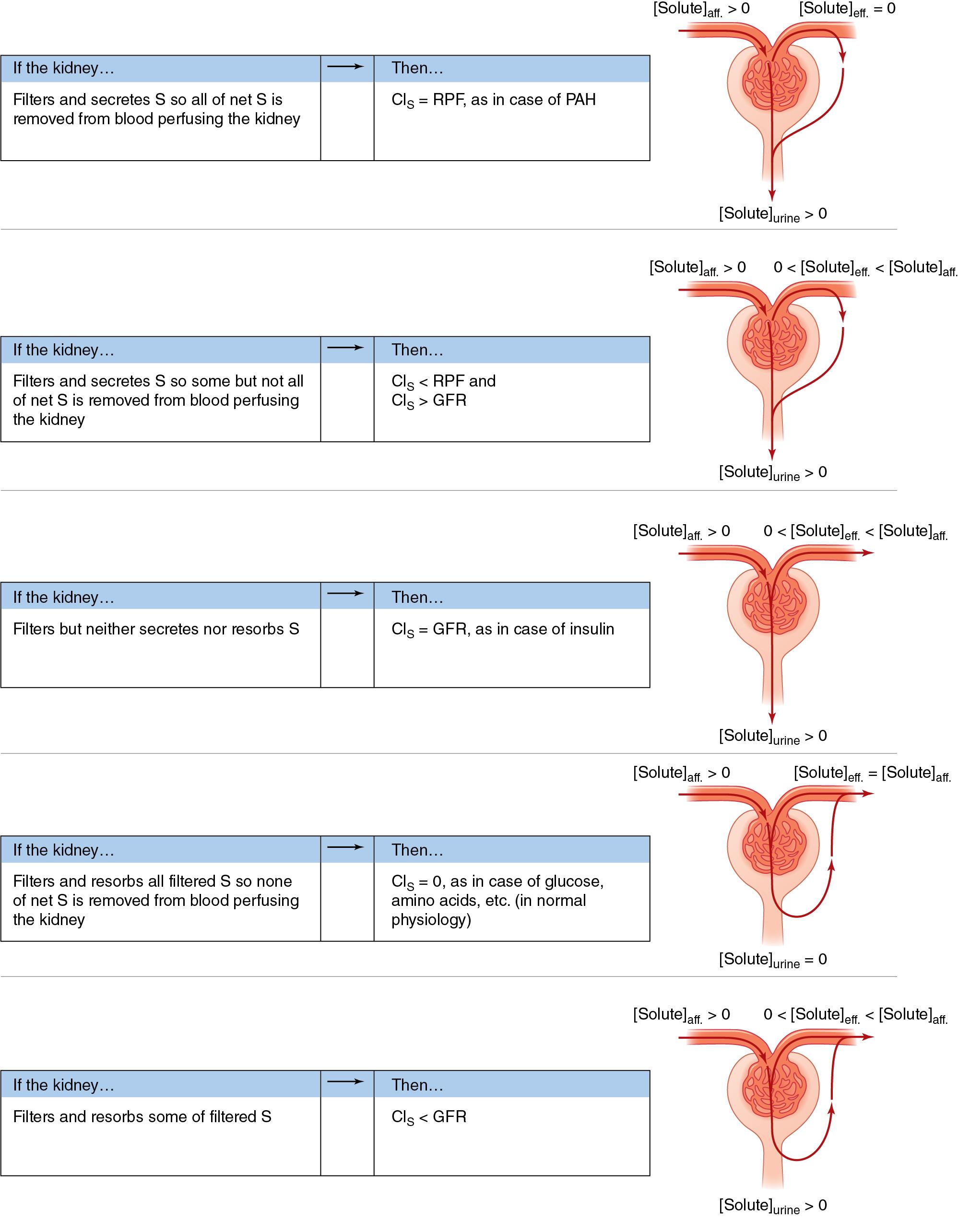 Fig. 17.10, The clearance of S under different types of renal handling. Cls , Clearance of S; GFR , glomerular filtration rate; PAH , paraaminohippurate; RPF , renal plasma flow.